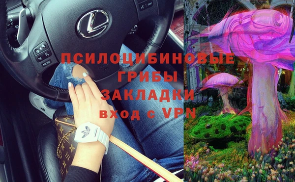 кокс Алзамай