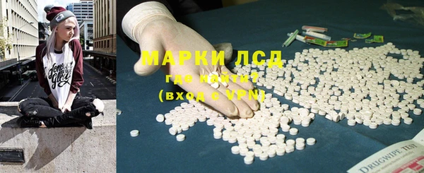 прущие грибы Алексин