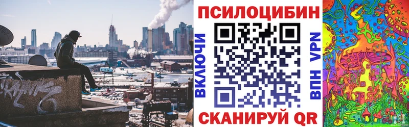 Псилоцибиновые грибы Psilocybine cubensis  Нолинск 